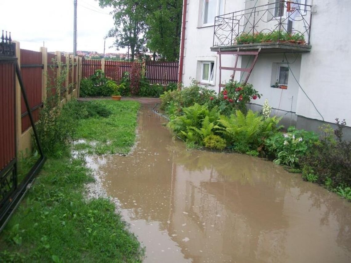 \"Nie jadę na wakacje, pilnuję domu. Zalewa nas S17\" \"Nie jadę na wakacje, pilnuję domu. Zalewa nas S17\"