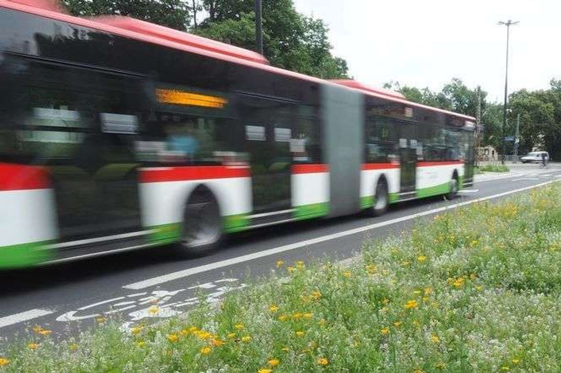 Nie jechała tego dnia autobusem, ale wezwanie do zapłaty przyszło. Jak oszukują gapowicze?
