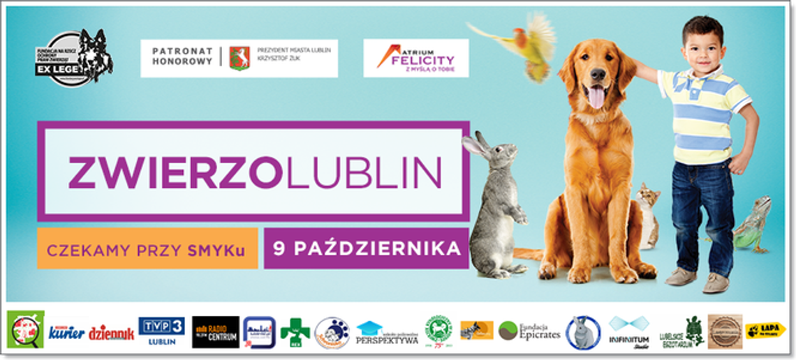 Nie kupuj, adoptuj! Zwierzolublin w Felicity