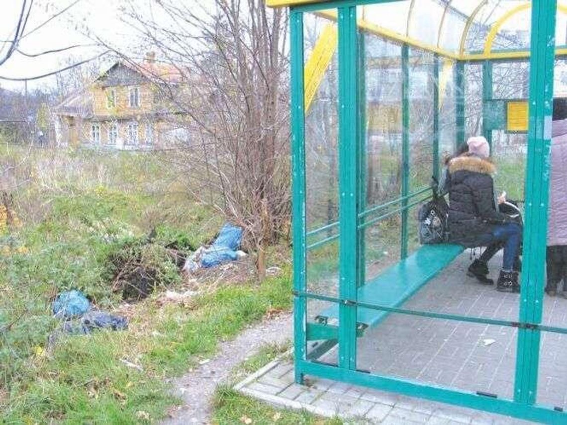 Nie ma mocnych na śmietnisko za przystankiem. W centrum miasta