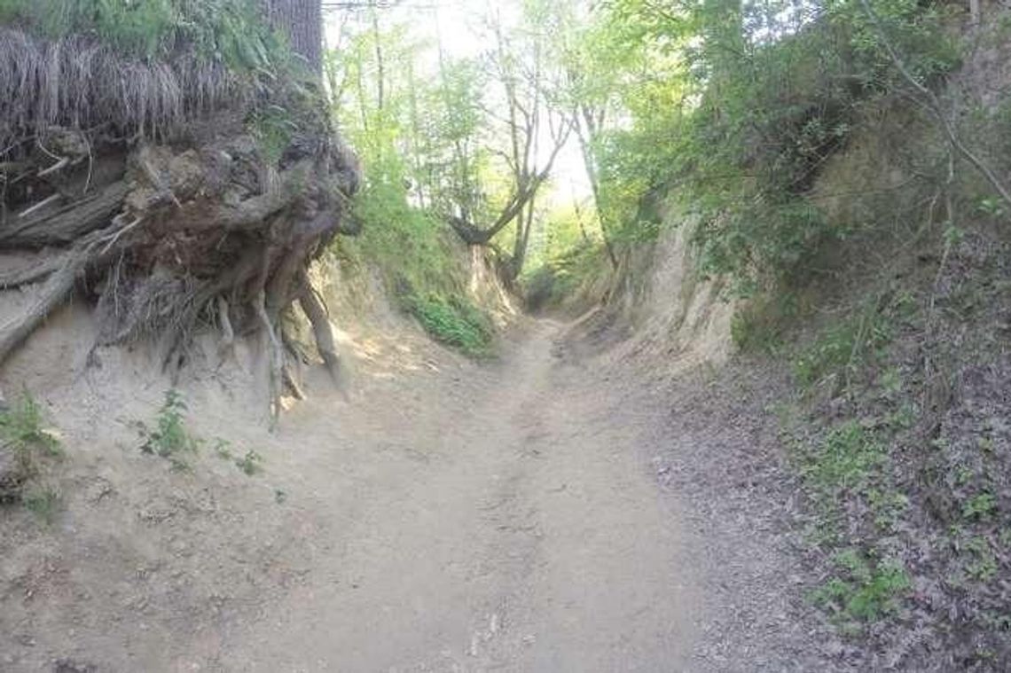 Nie ma zgody na wybrukowanie wąwozu w Kazimierzu. Starosta powiedział "nie"