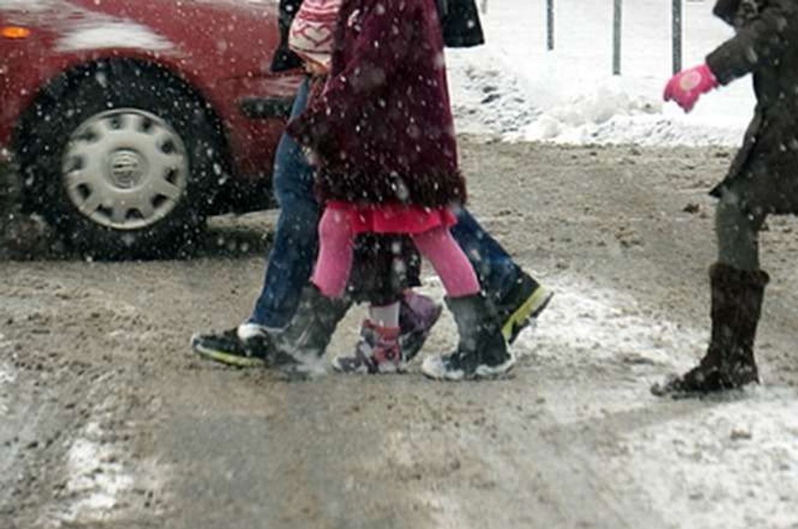 Nie przepuścili pieszych, stracili prawo jazdy