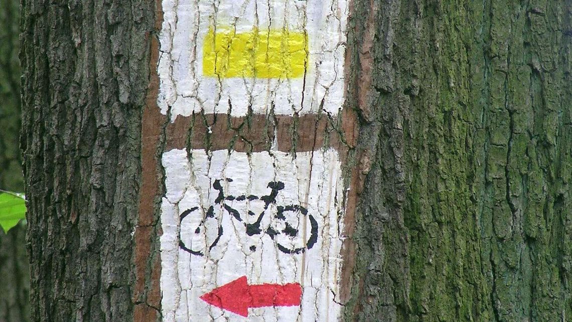 Nie tylko Green velo - infrastruktura dla turystyki rowerowej w Polsce