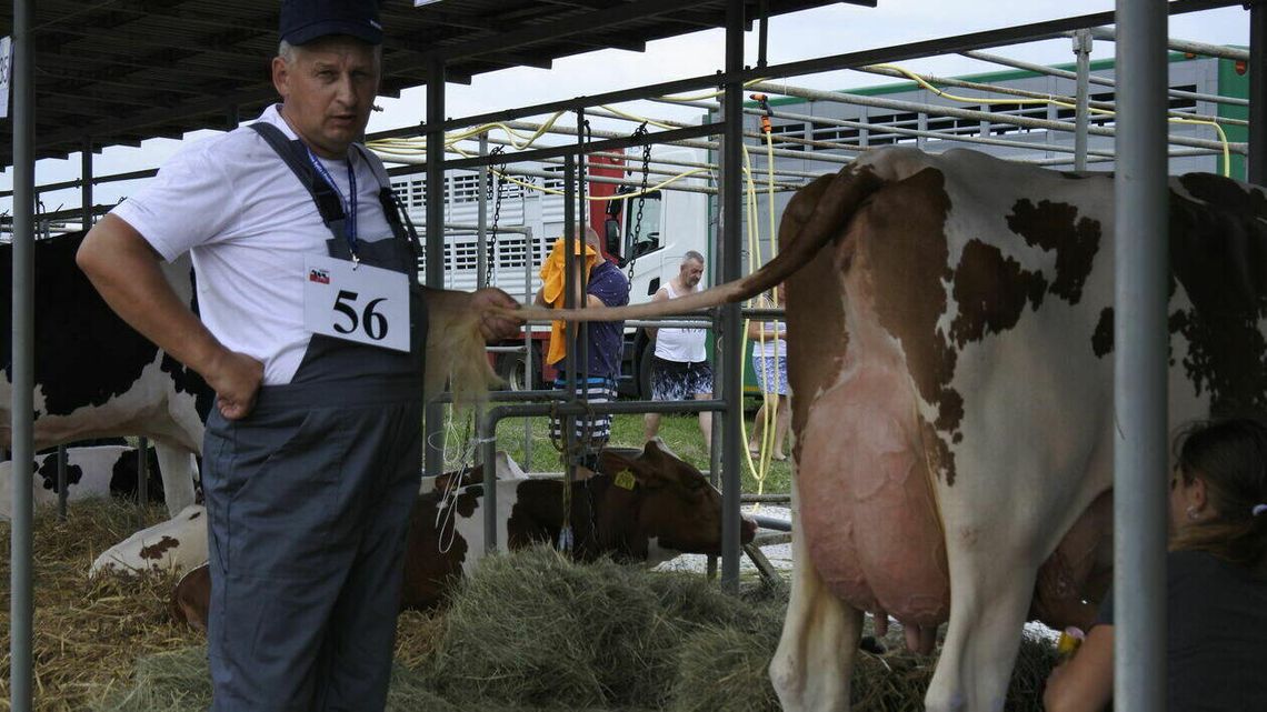 Nie tylko konie, krowy i kozy. W Sitnie będą też kraby, krewetki i raki