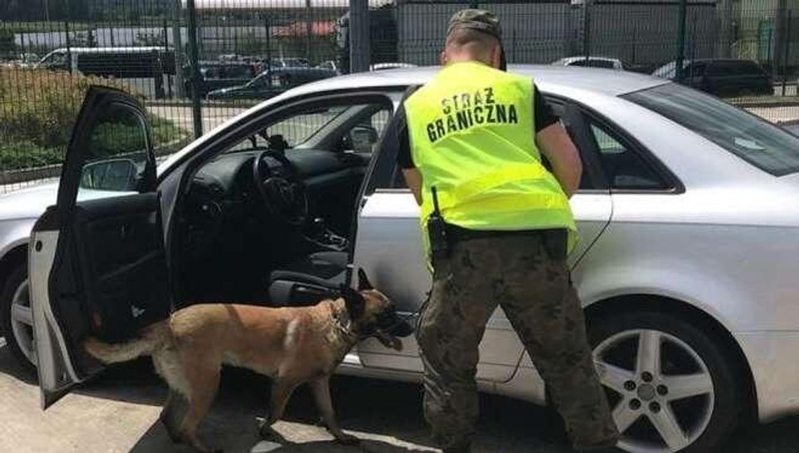 Nie tylko policjanci chcą podwyżek. Inni mundurowi też. Ile zarabia strażnik graniczny? Nie tylko policjanci chcą podwyżek. Inni mundurowi też. Ile zarabia strażnik graniczny?