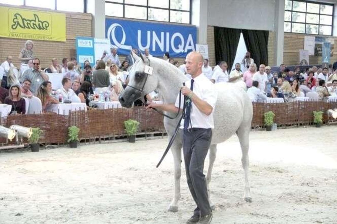 "Nie widzimy przyszłości w tym miejscu". Fachowcy odchodzą ze stadniny w Janowie