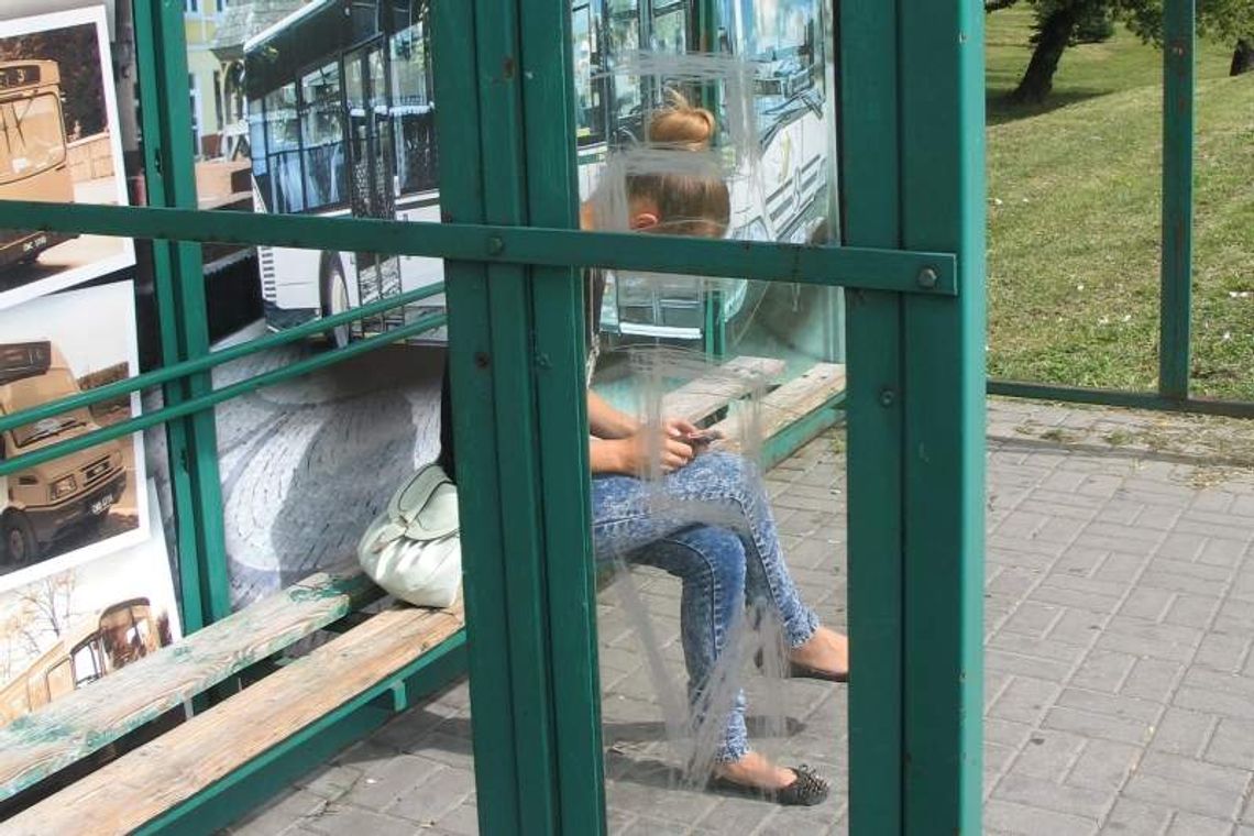 Nie wszyscy na przystankach czekają na autobus