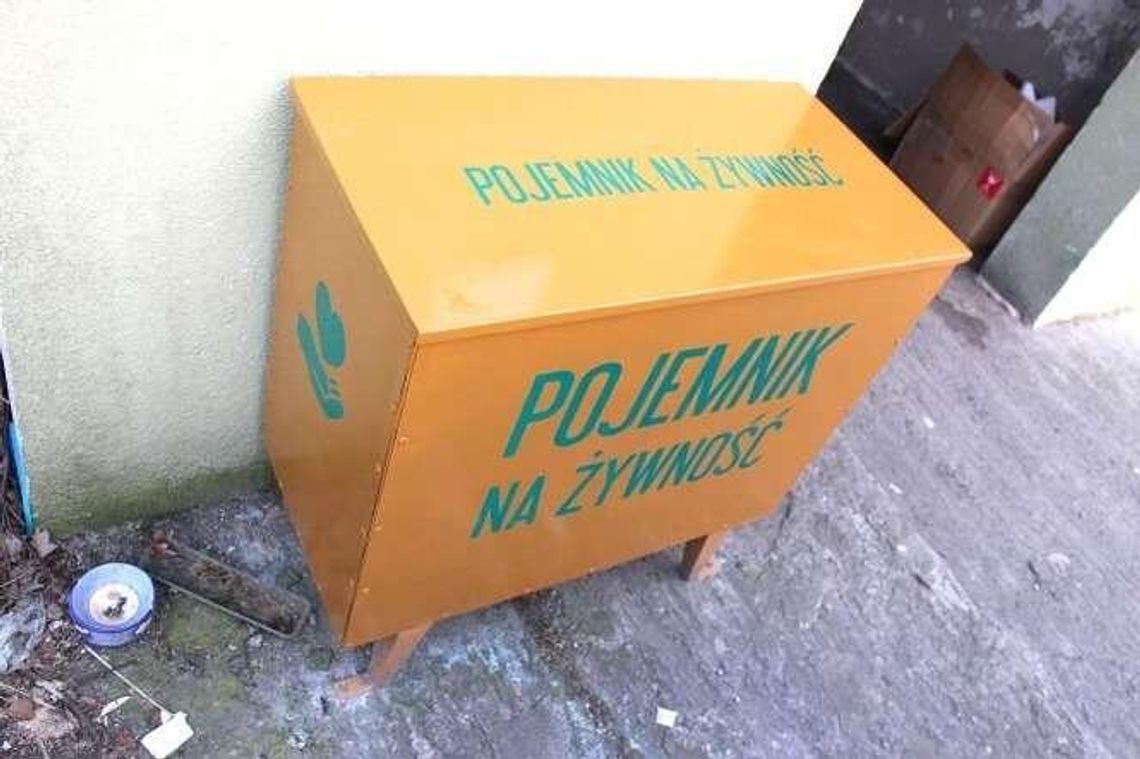 Nie wyrzucaj jedzenia, oddaj biednym. Uczniowie zrobili specjalny pojemnik Nie wyrzucaj jedzenia, oddaj biednym. Uczniowie zrobili specjalny pojemnik