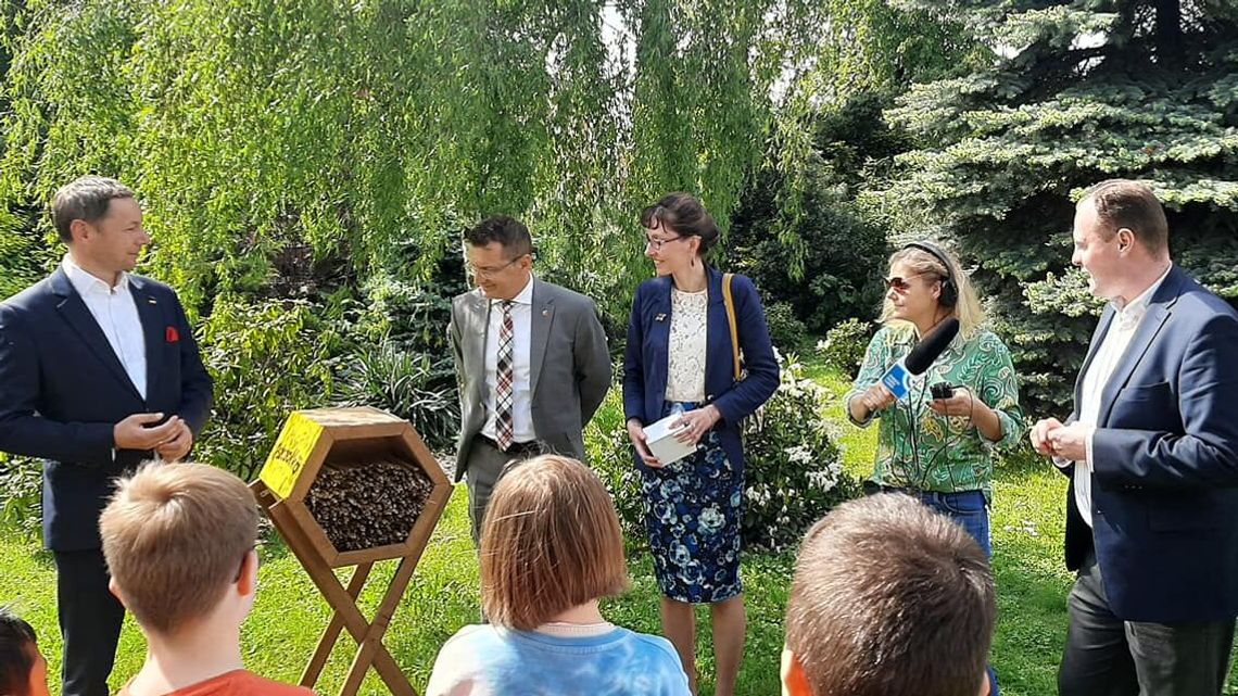 Nie żądli, nie robi miodu, ale zapyla. Coraz więcej domków dla murarki w Lubelskiem Nie żądli, nie robi miodu, ale zapyla. Coraz więcej domków dla murarki w Lubelskiem