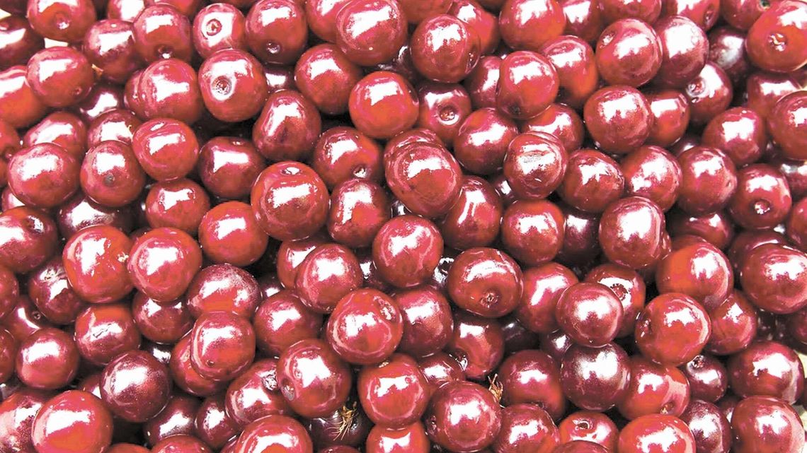 Nie zapłacili rolnikom za owoce, nawet 200 dni opóźnienia. Będą milionowe kary?