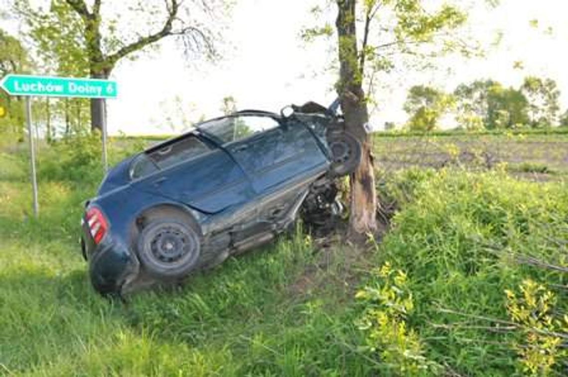 Nie zatrzymał się na skrzyżowaniu, wjechał w drzewo