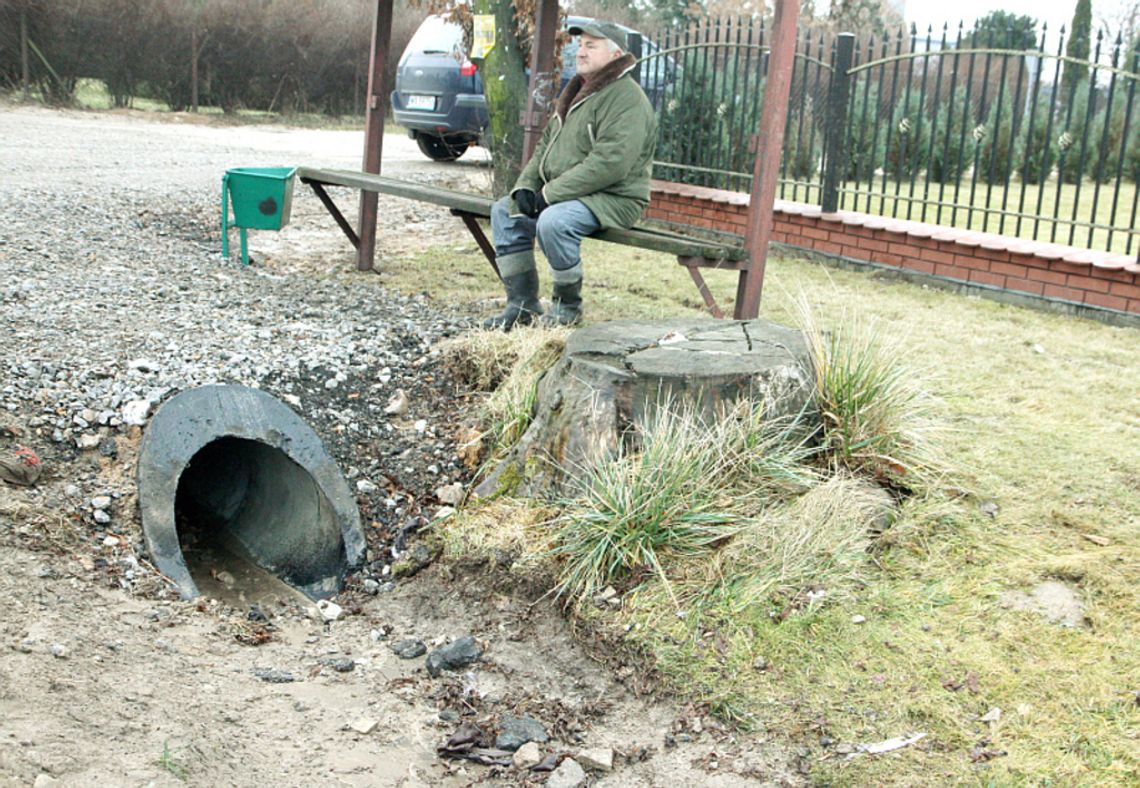 Nie znaleźli psów zabójców