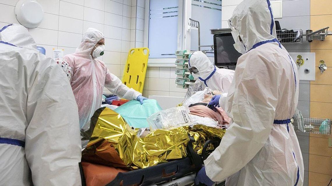 Nie żyje 179 osób z infekcją COVID-19. Najnowszy raport Ministerstwa Zdrowia Nie żyje 179 osób z infekcją COVID-19. Najnowszy raport Ministerstwa Zdrowia