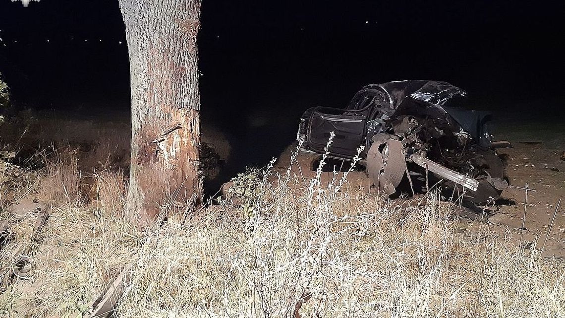 Nie żyje 19-latek i 16-latek. Tragiczny wypadek koło Tomaszowa Lubelskiego