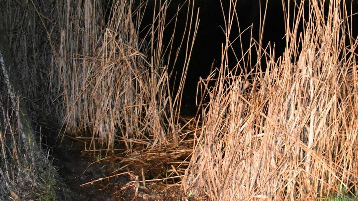 Nie żyje 60-latek. Ciało mężczyzny wyłowiono ze stawu