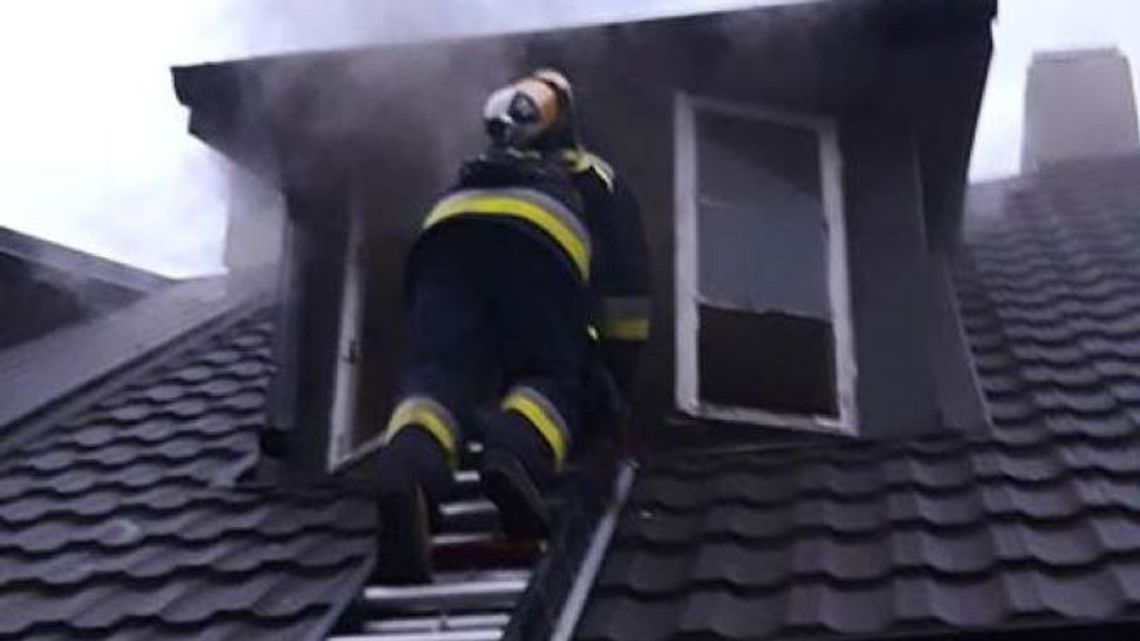 Nie żyje 71-letnia kobieta. W domu były też martwe psy [ZDJĘCIA]