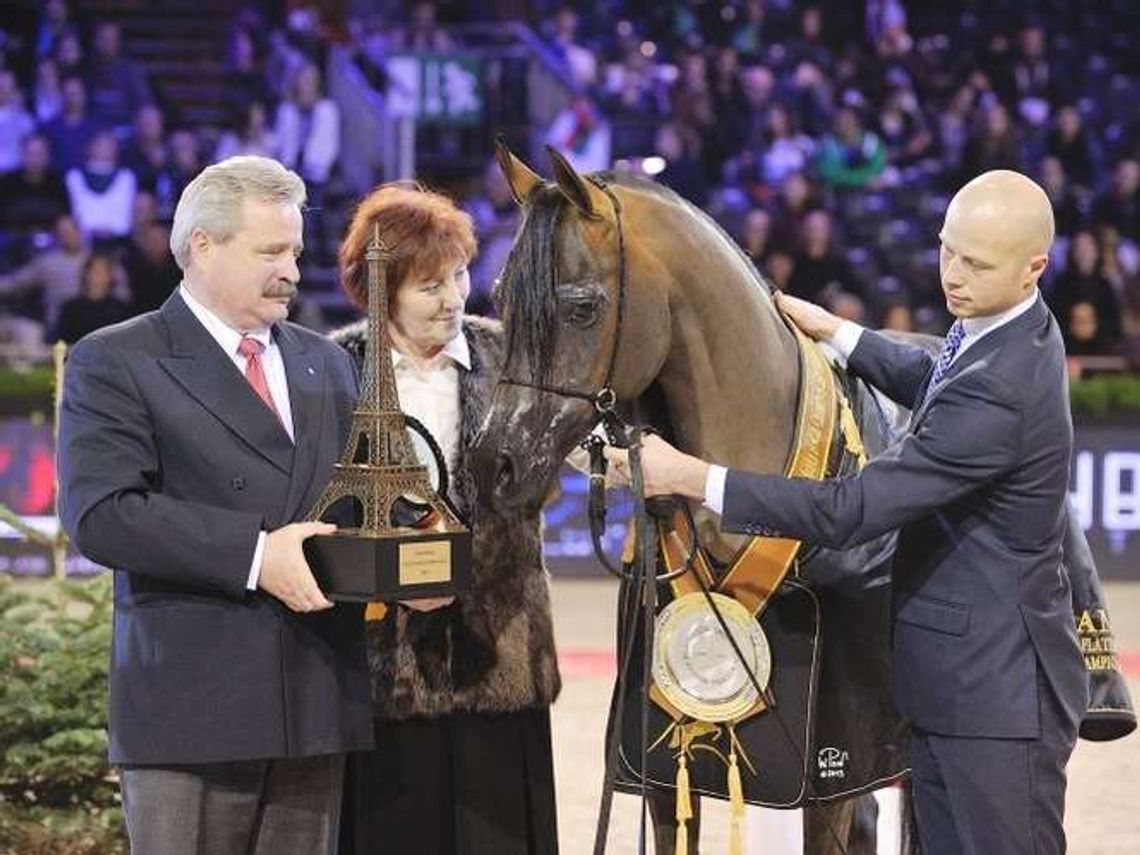 Nie żyje Pianissima, najsłynniejsza klacz na świecie ze stadniny w Janowie Podlaskim