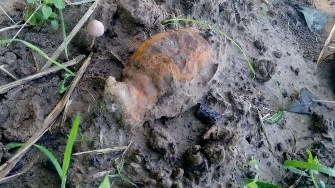 Niebezpieczne znalezisko koło zabudowań. Wzywano saperów Niebezpieczne znalezisko koło zabudowań. Wzywano saperów