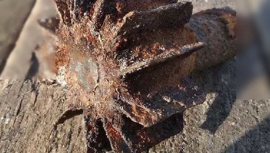 Niebezpieczne znalezisko w sadzawce. Przyjechali saperzy