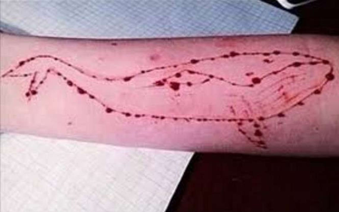 "Niebieski wieloryb" w Lubelskiem. Są pierwsze przypadki morderczej gry