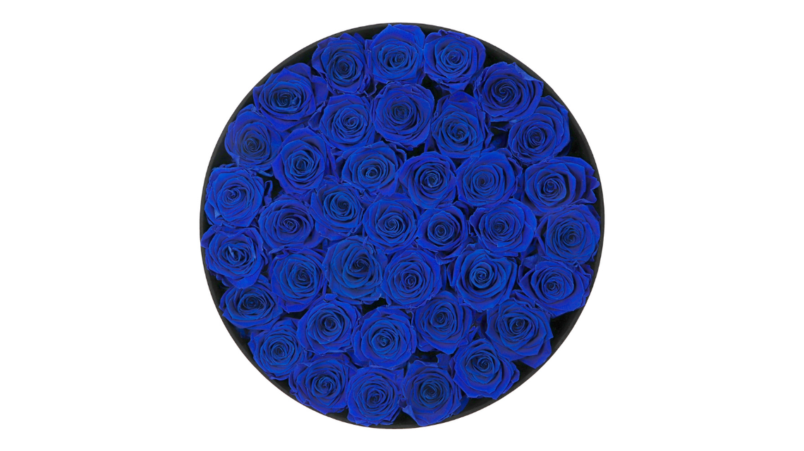 Niebieskie róże – kwiaty, które zaskakują