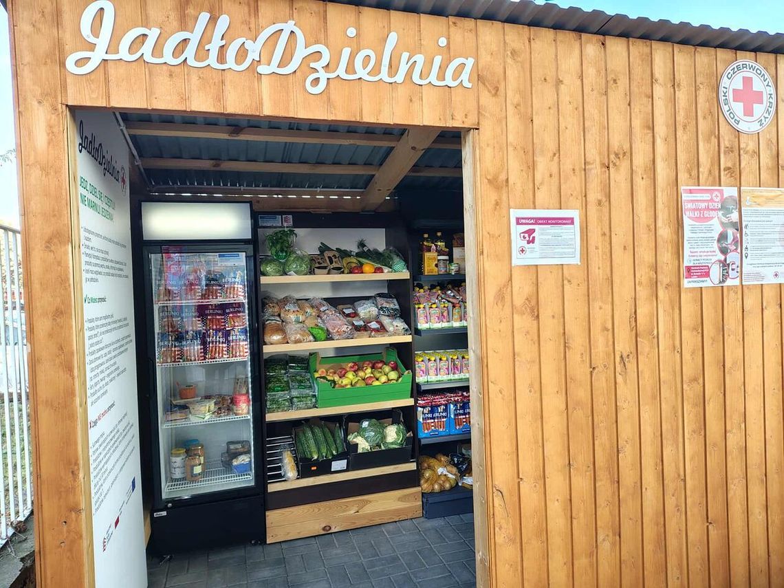 Niech świąteczne jedzenie nie ląduje w koszu. Zanieś nadwyżki do jadłodzielni