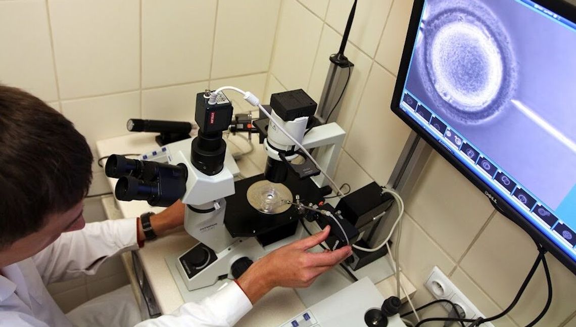 Niech Zamość finansuje in vitro. Lewica rusza ze zbiórką podpisów Niech Zamość finansuje in vitro. Lewica rusza ze zbiórką podpisów