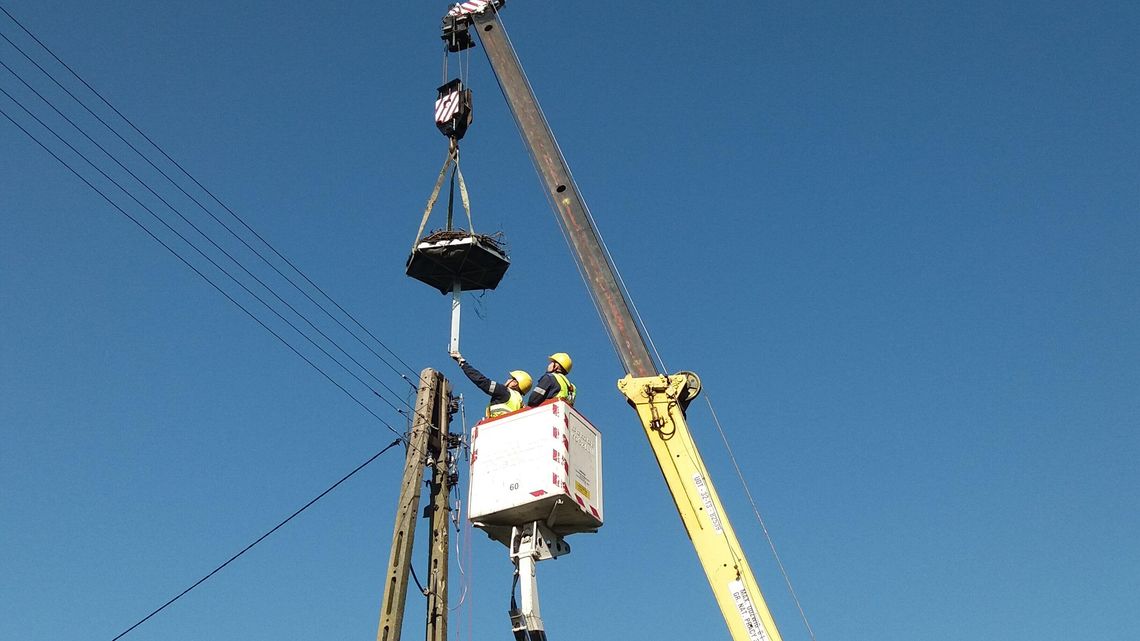 Niedługo bociany wrócą na Lubelszczyznę z ciepłych krajów. Ludzie pomagają im z gniazdami Niedługo bociany wrócą na Lubelszczyznę z ciepłych krajów. Ludzie pomagają im z gniazdami