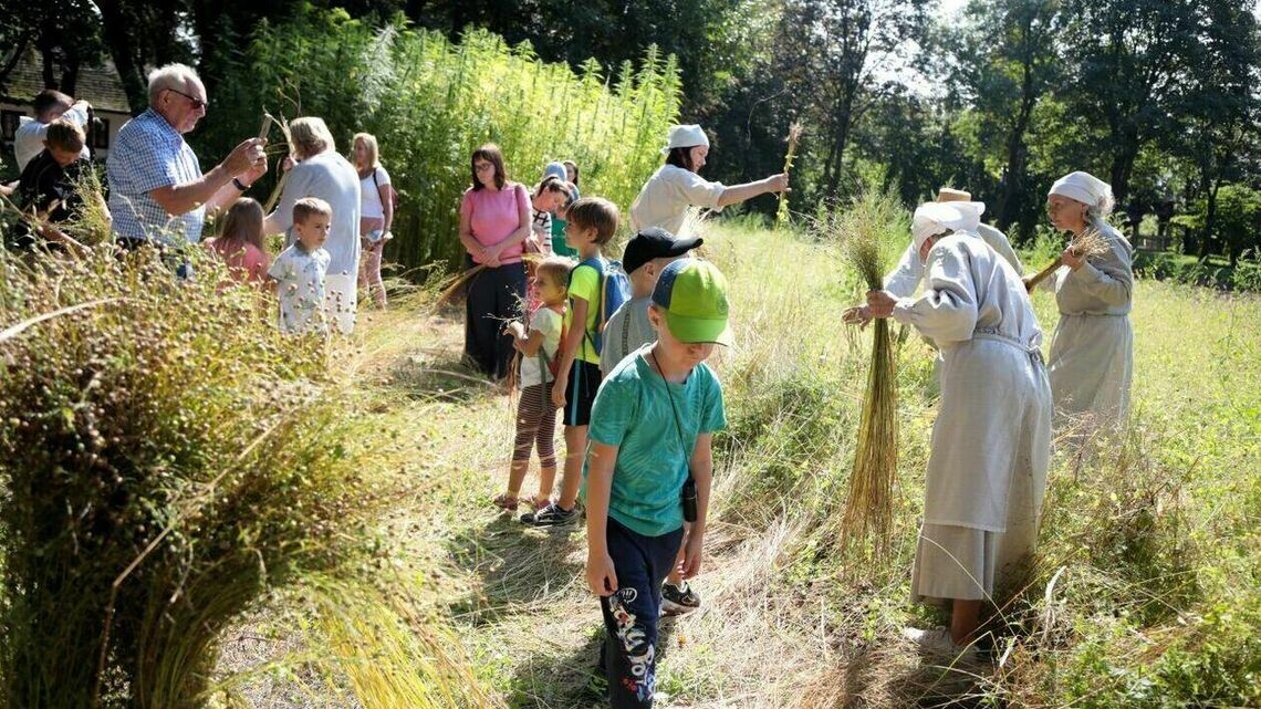 Niedziela z lnem w Muzeum Wsi Lubelskiej