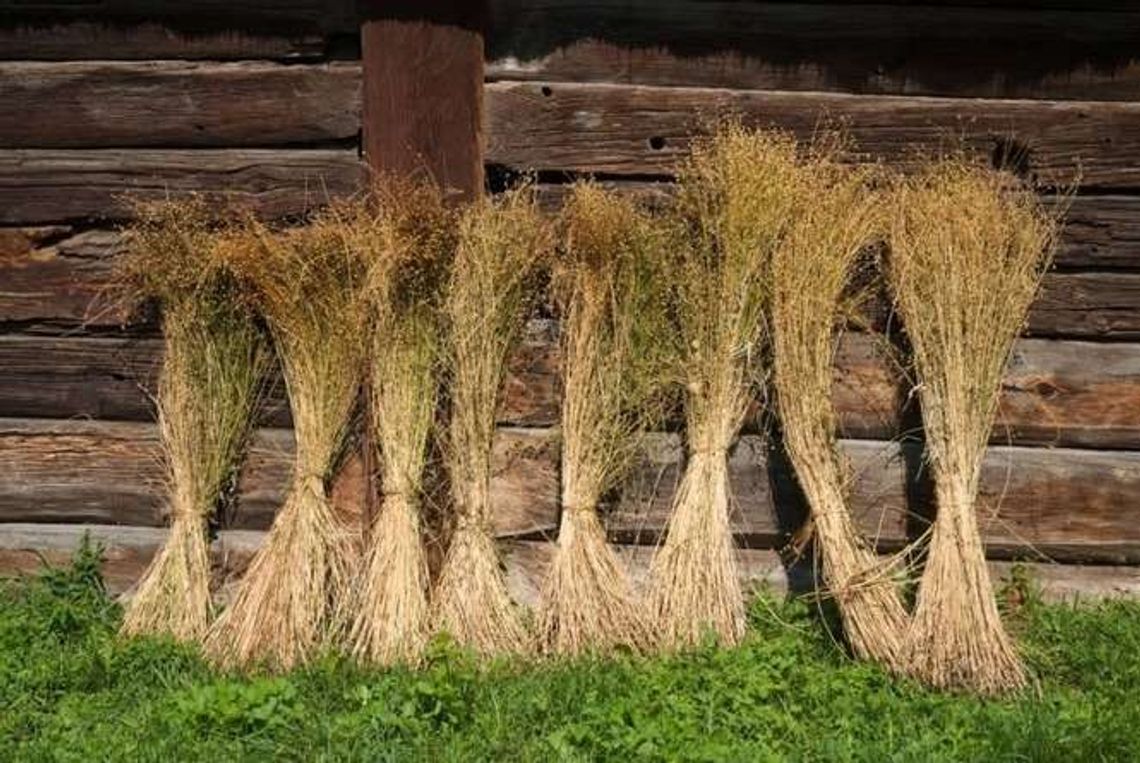 Niedziela z lnem w skansenie