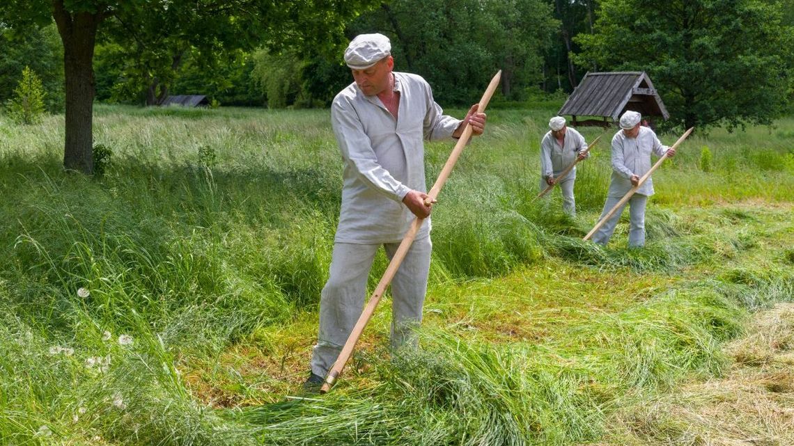 Niedzielne Sianokosy w Skansenie