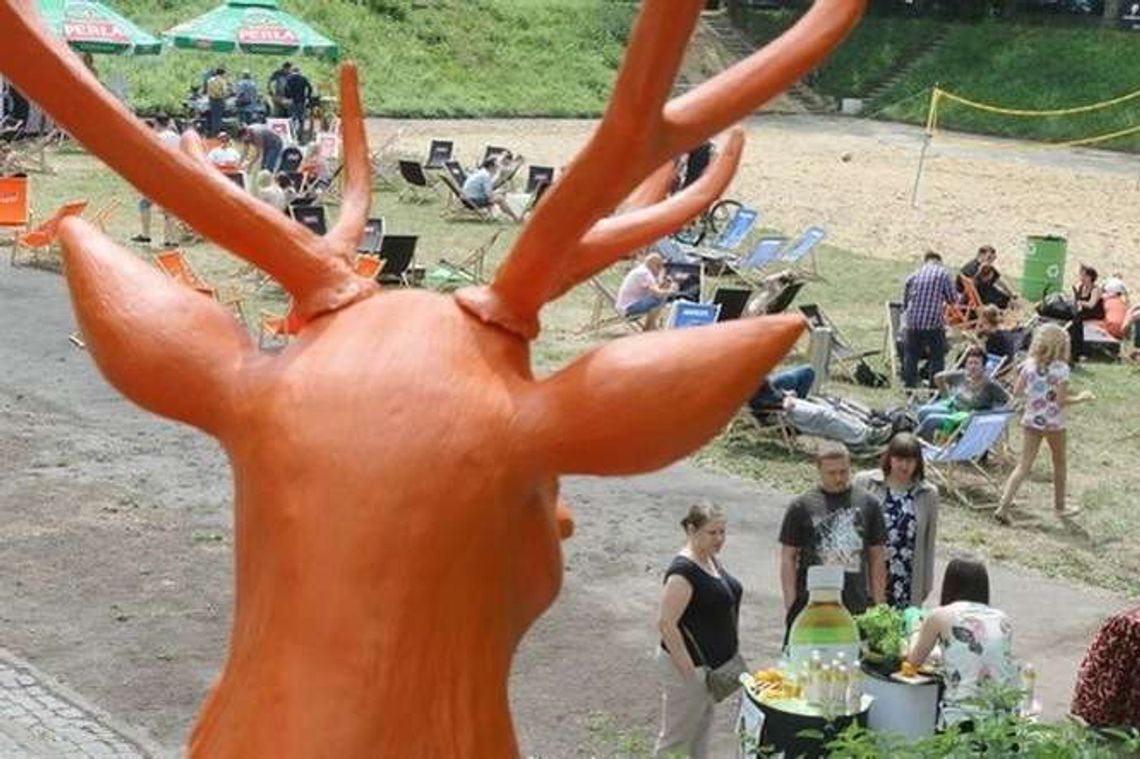 Niedzielne śniadanie na trawie w Plenerze (zdjęcia)