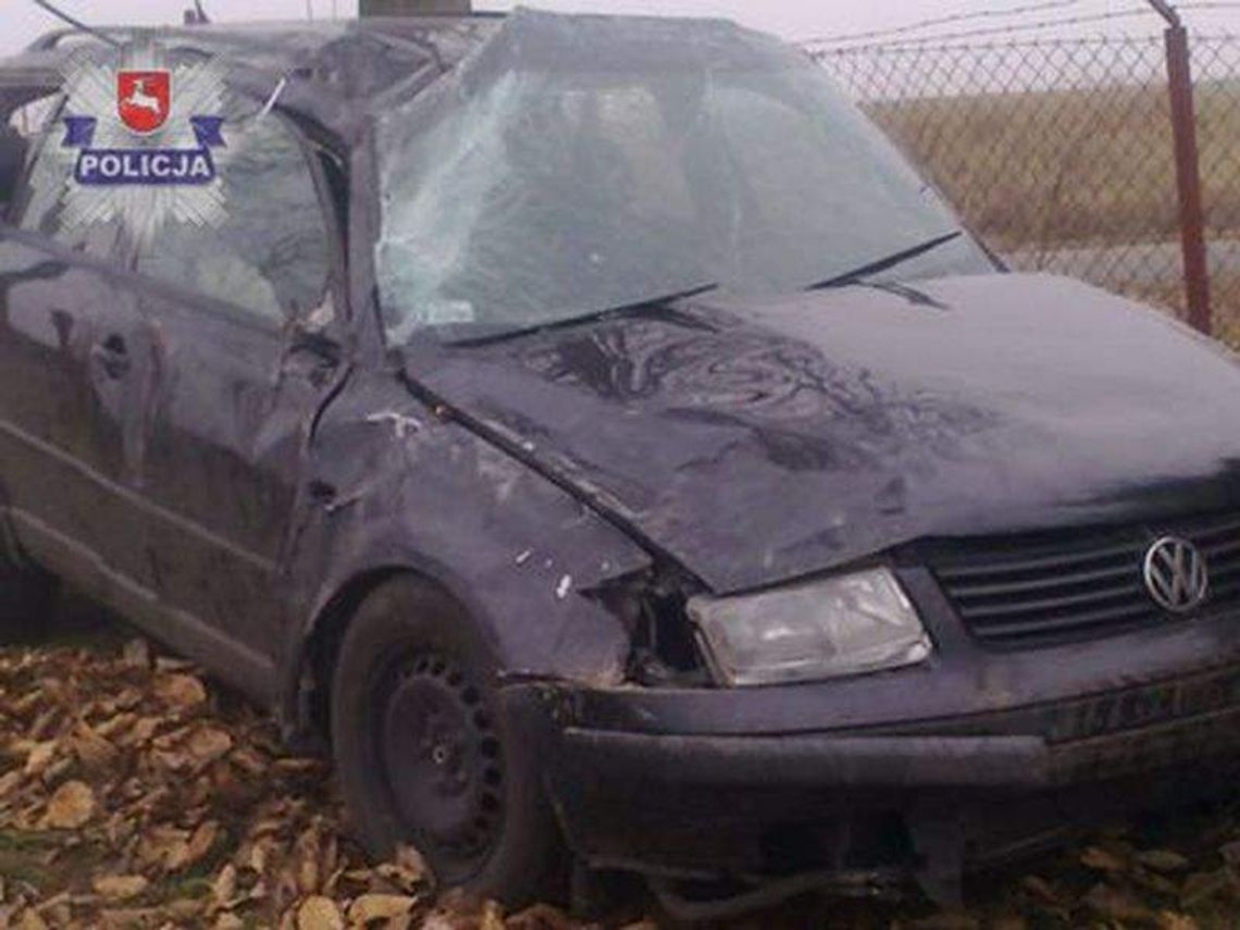 Niedźwiada: Po pijanemu skosiła ogrodzenie i uciekła