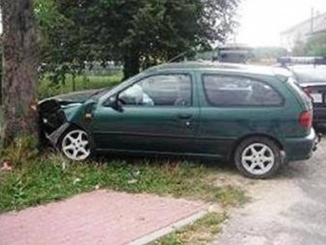 Niedźwiedź: Pijany kierowca wpadł na drzewo, naubliżał policjantowi