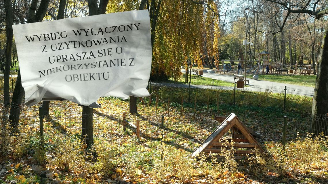 Niekończąca się opowieść o kiełkowaniu trawy na wybiegu dla psów w parku Ludowym