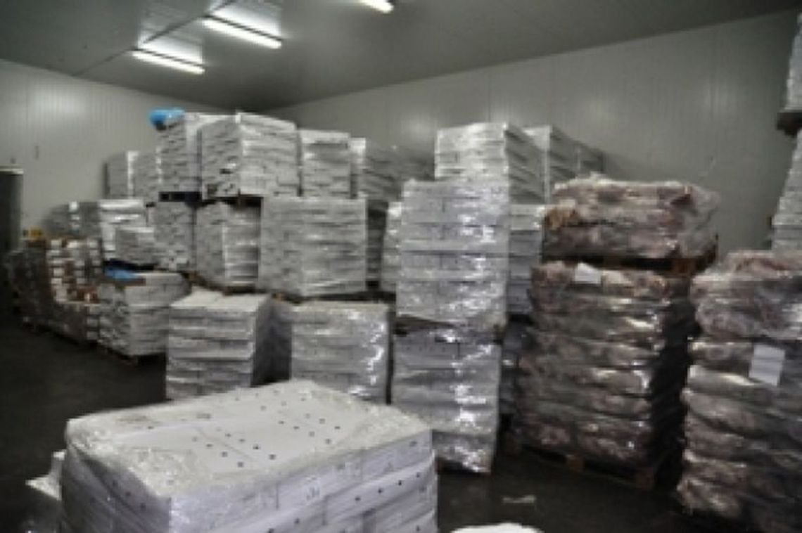 Nielegalna chłodnia w Tomaszowie. 150 ton mięsa, część przeterminowana (zdjęcia)