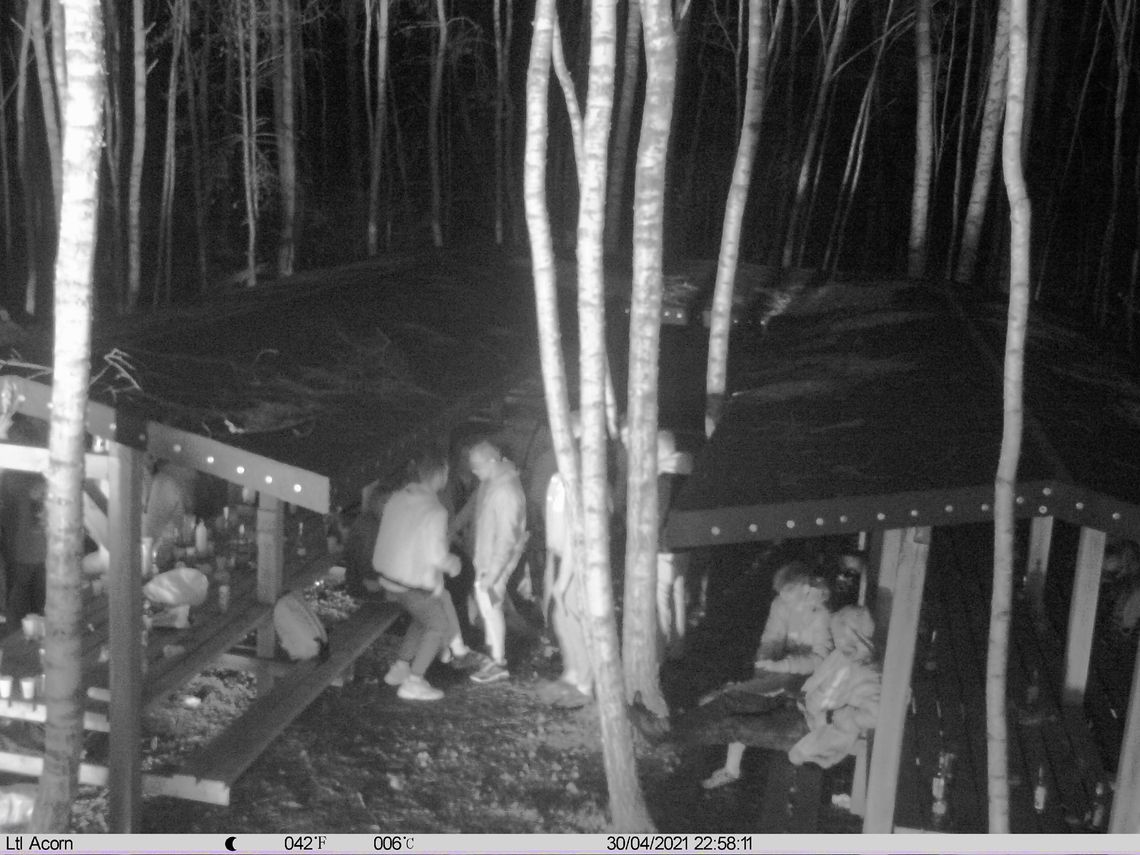 Nielegalna impreza w obozie partyzanckim. Fotopułapka przyłapała młodzież