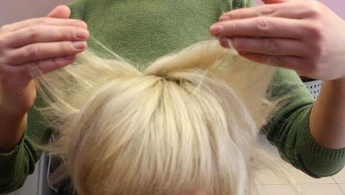 Nielegalna trwała? Prokuratura nadal tropi „podziemie fryzjerskie” w szpitalu 