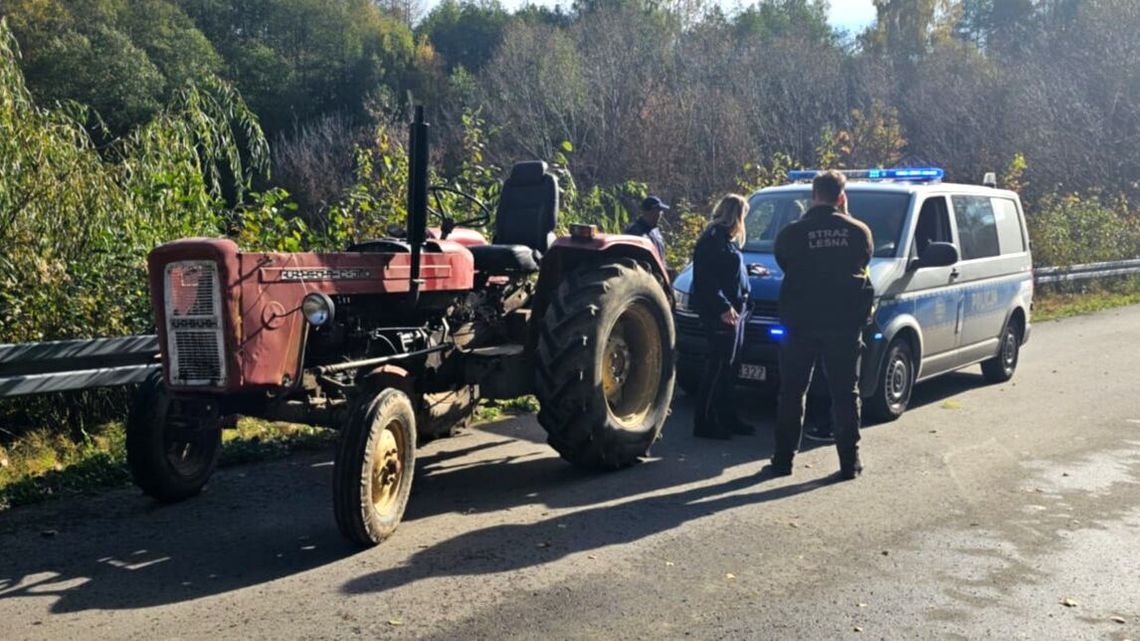 Nielegalna wycinka i traktor na gazie. Leśny patrol miał pełne ręce roboty 