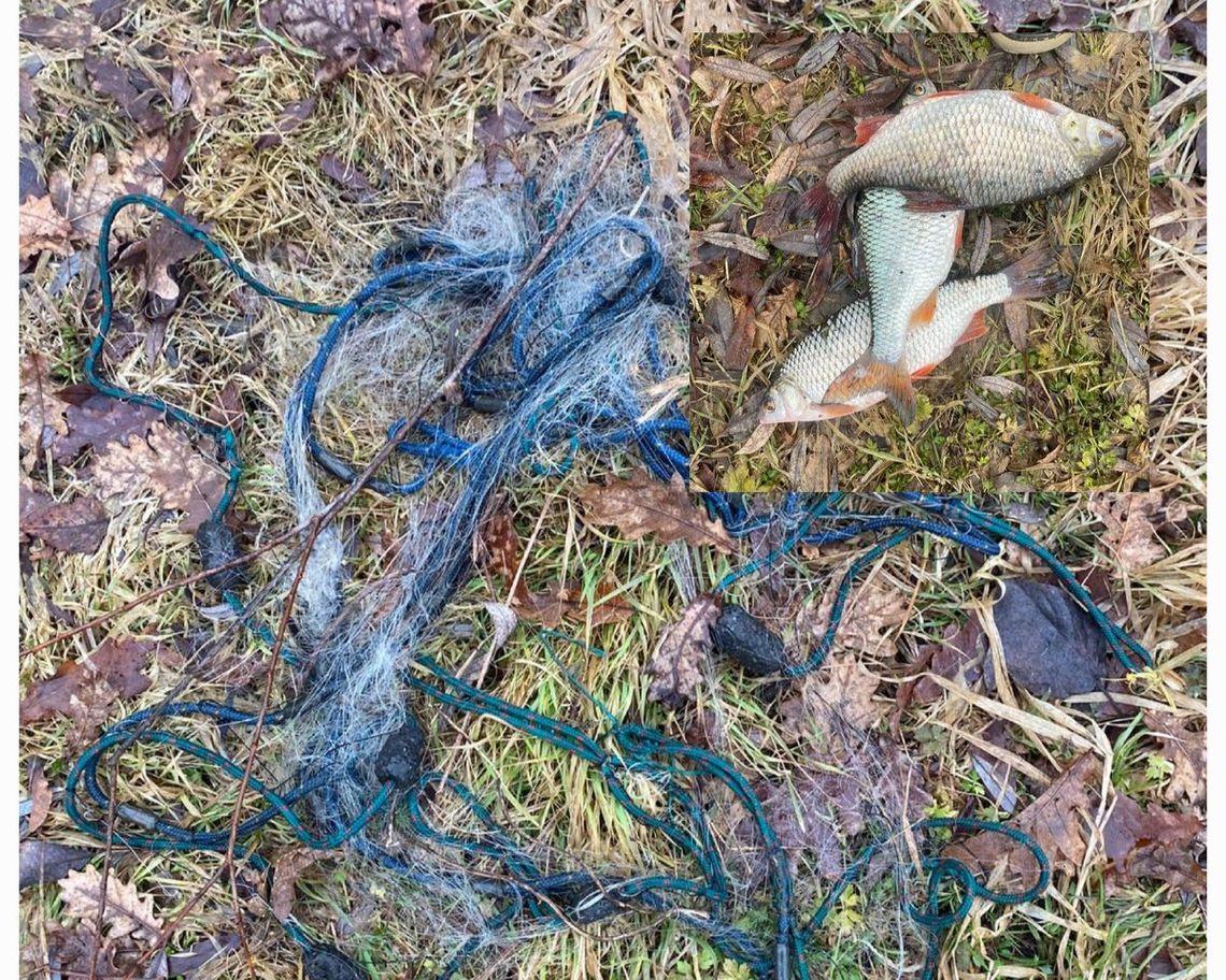 Nielegalnie łowił ryby. Dzielnicowa zatrzymała kłusownika Nielegalnie łowił ryby. Dzielnicowa zatrzymała kłusownika