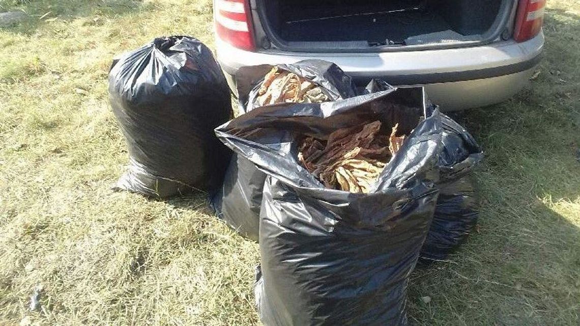 Nielegalnie produkował papierosy. Trafił na komendę Nielegalnie produkował papierosy. Trafił na komendę