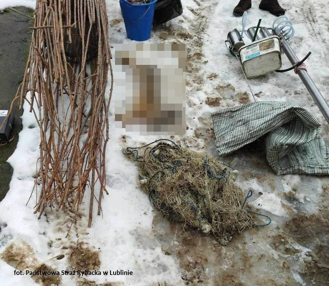 Nielegalny połów ryb obalony