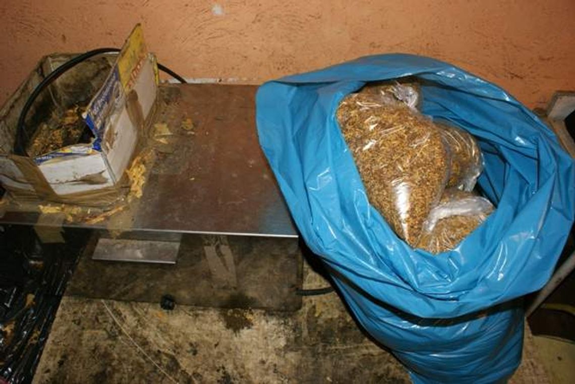 Nielegalny tytoń i ... skarpety