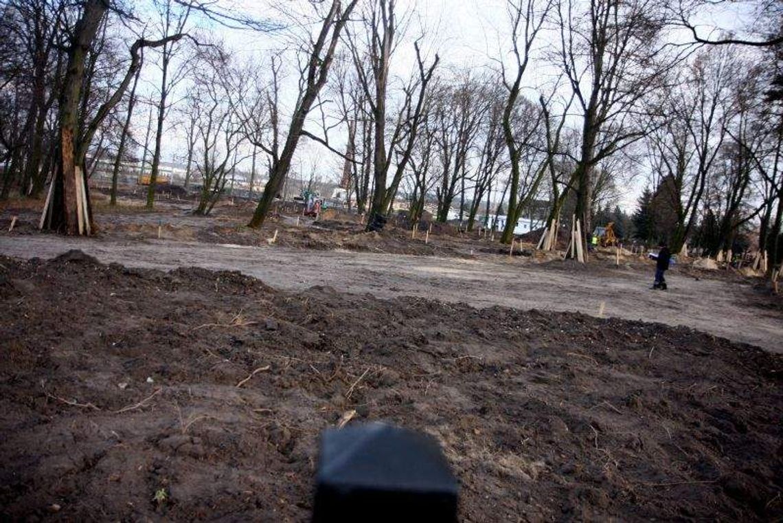 Niemce: Były chaszcze, będzie park