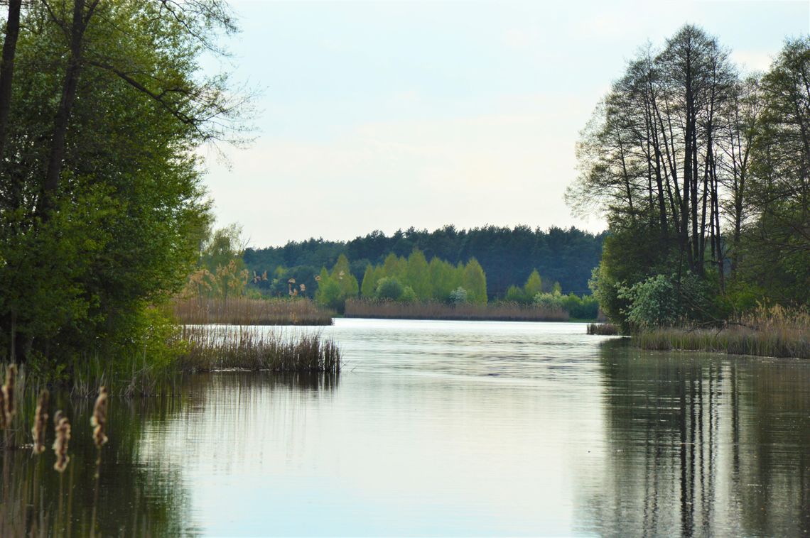 Nieoczywiste Lubelskie- 5 miejsc na majówkę, o których mało kto słyszał.