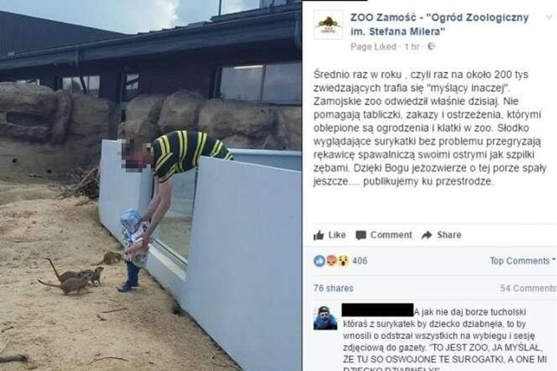 Nieodpowiedzialny ojciec w ZOO. Włożył dziecko za ogrodzenie z drapieżnymi ssakami