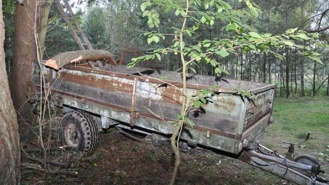Nieszczęśliwy wypadek podczas wycinki drzewa. Zginął 79-latek