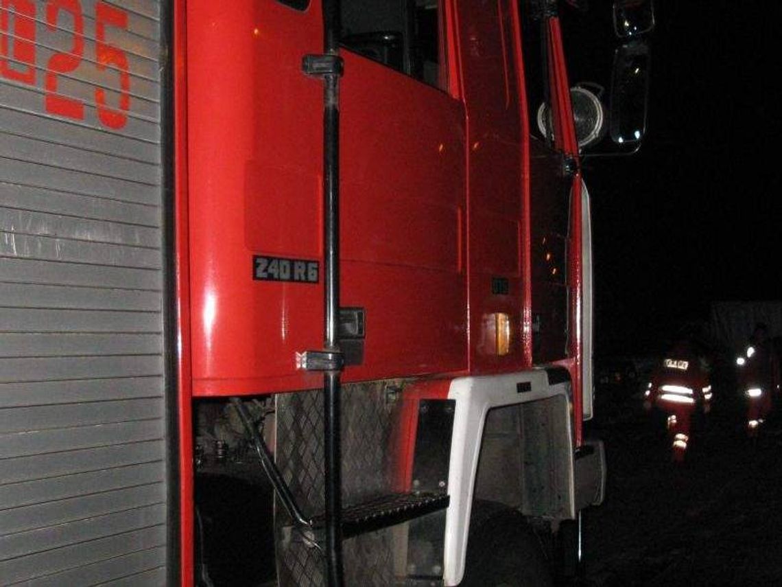 Nietoperz wleciał do mieszkania. Potrzebna była pomoc strażaków Nietoperz wleciał do mieszkania. Potrzebna była pomoc strażaków