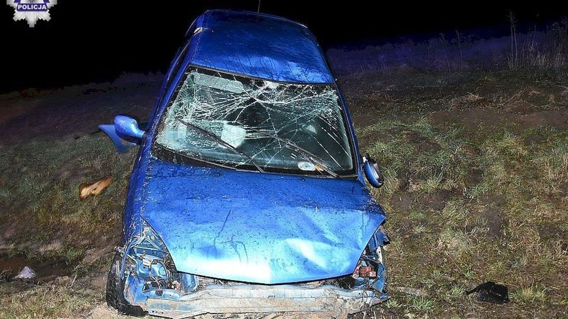 Nietrzeźwa kobieta wiozła swoje 8-letnie dziecko. Jej samochód wpadł do rowu 