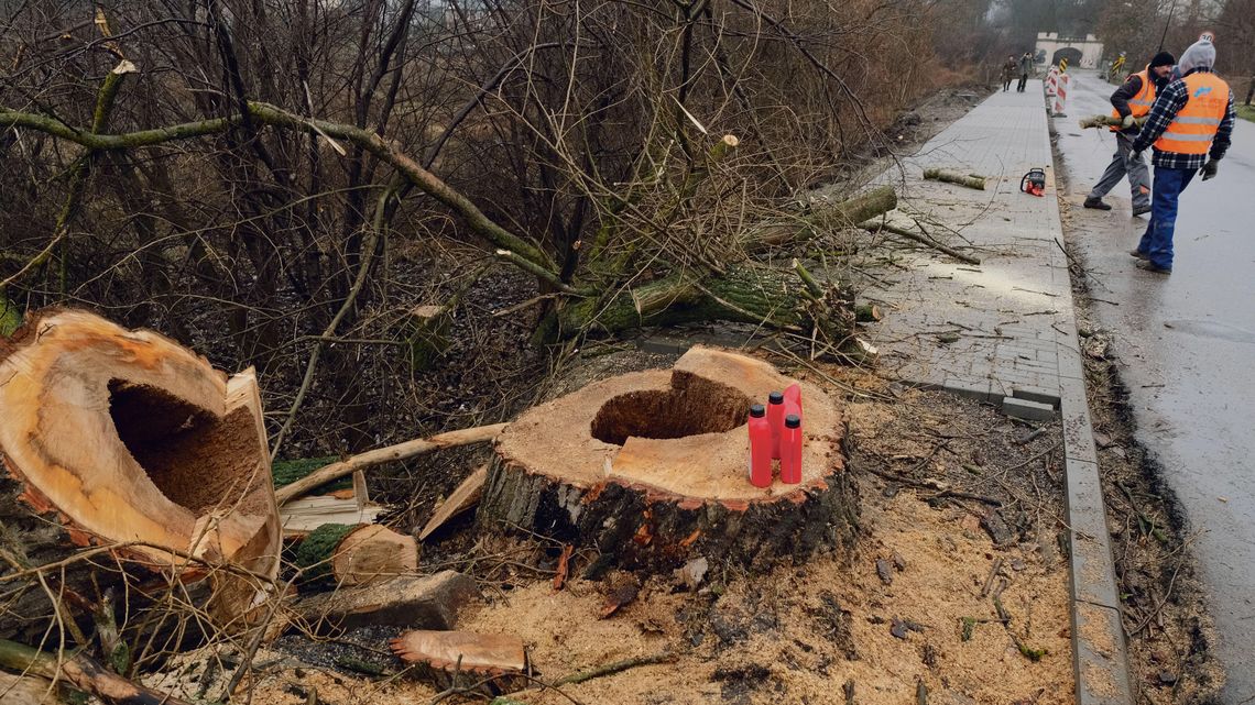 Nietypowa kolejność prac przy budowie chodnika. "Toż to Bareja w czystej postaci"